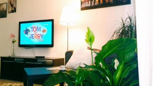 Vatican Home image 30